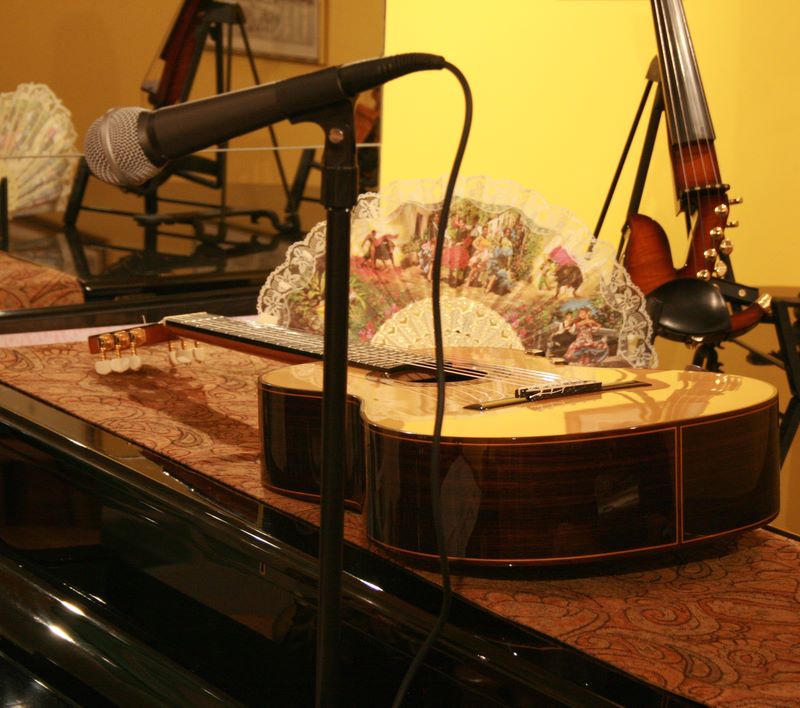 Flamenco at the Long Island Violin Shop