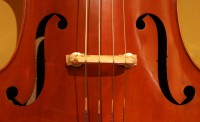 bass bridge at the Long Island Violin Shop