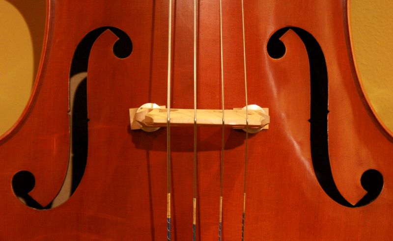 bass bridge at the Long Island Violin Shop