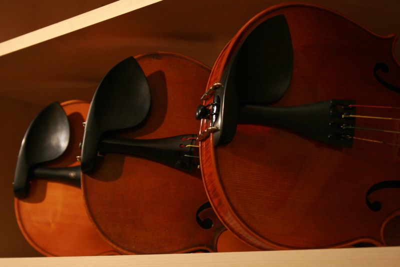 Violins